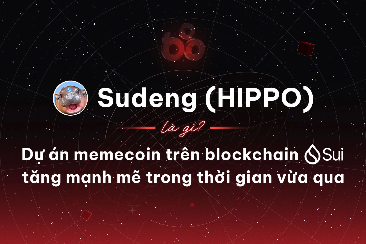Sudeng (HIPPO) là gì? Dự án memecoin trên blockchain Sui tăng mạnh mẽ trong thời gian vừa qua